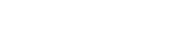 Davide Sambuco Logo